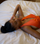 Is It Normal to Not Orgasm From Penetrative Sex?
