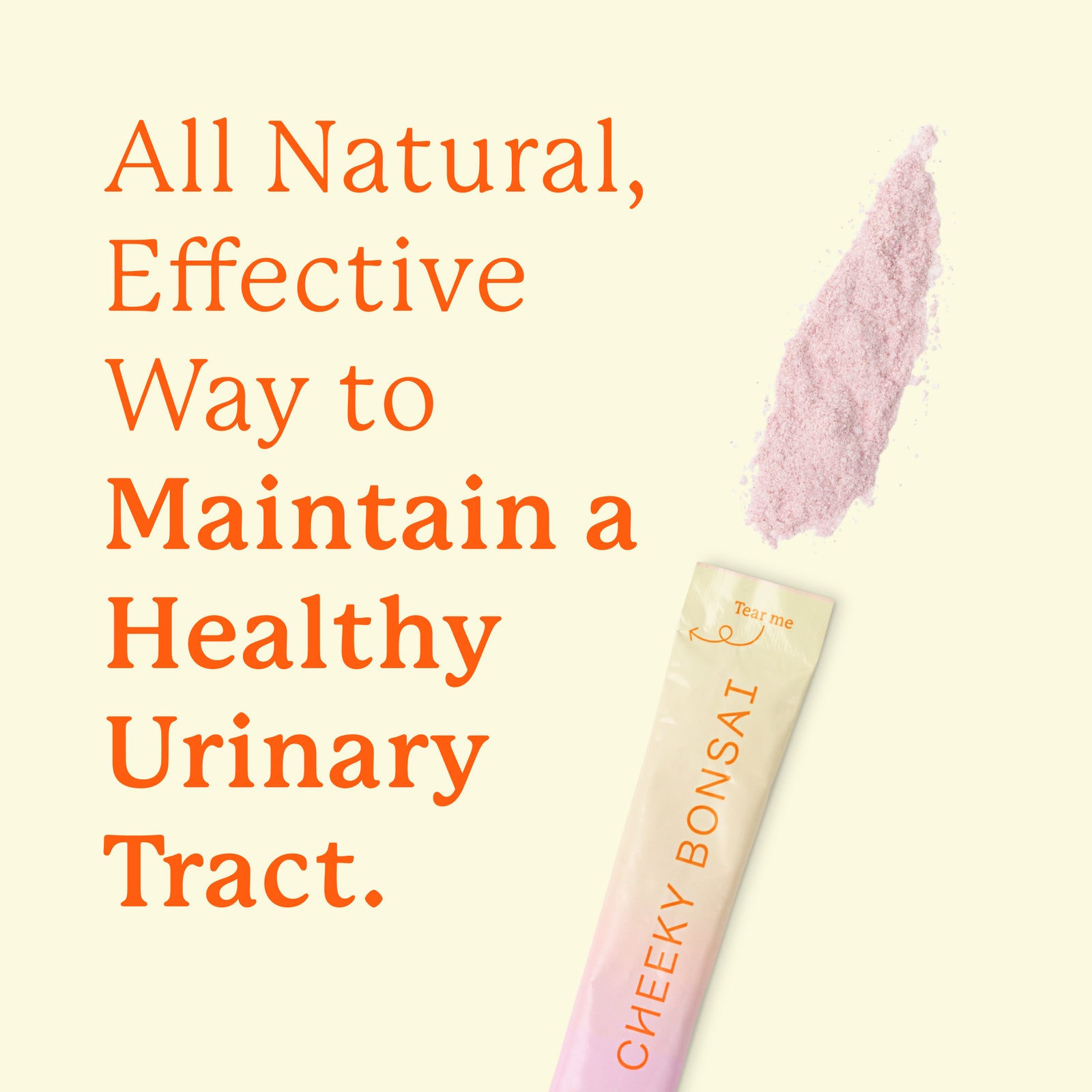 Bye Bye UTI Supplement