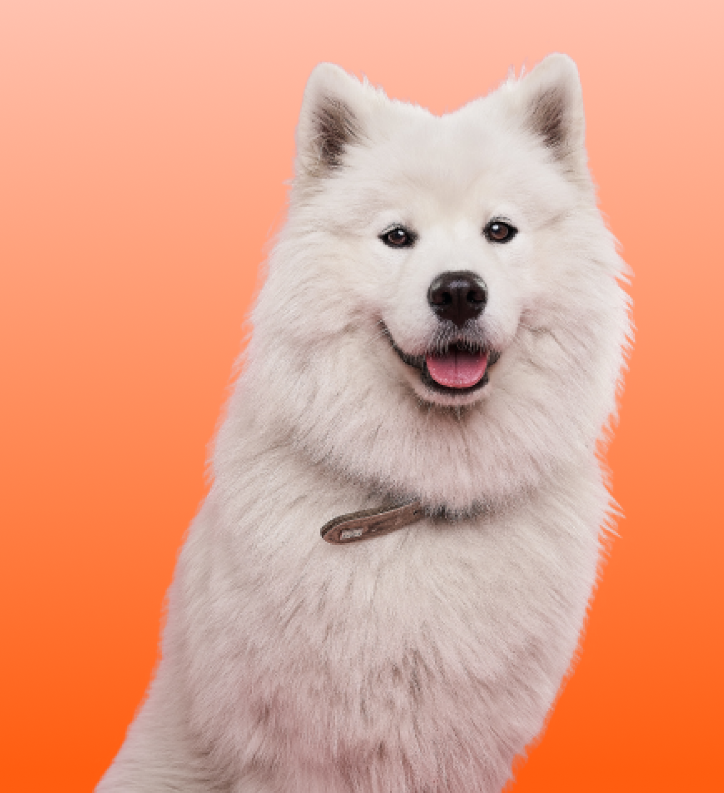 Will Phentermine Affect My Period? A Doctor'S Perspective - 961c0zt